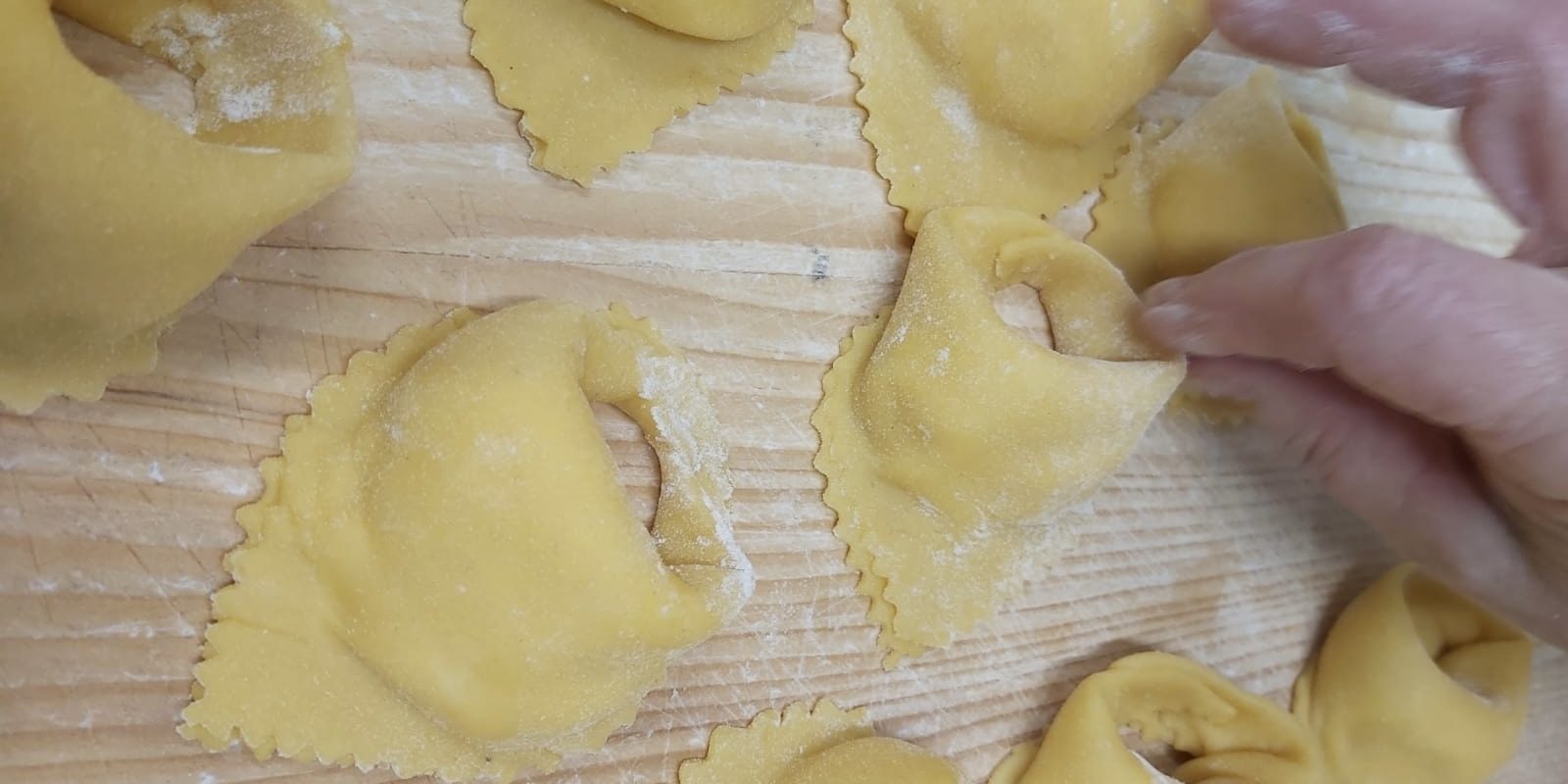Tortellacci